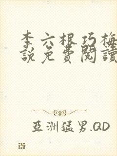 李六根巧梅婶小说免费阅读