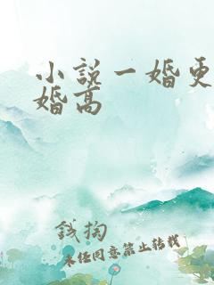 小说一婚更比一婚高