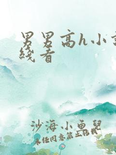 男男高h小说在线看