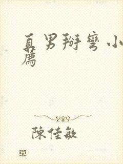 直男掰弯小说推荐