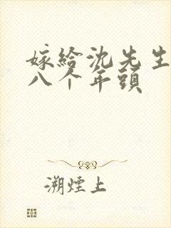 嫁给沈先生的第八个年头