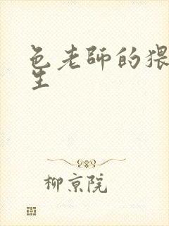 色老师的猥琐人生