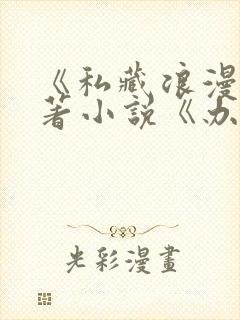 《私藏浪漫》原著小说《办公室隐婚》