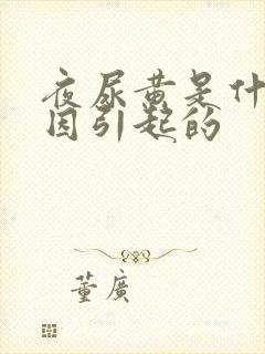 夜尿黄是什么原因引起的