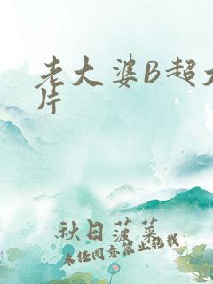 老大婆B超大图片