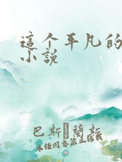 这个平凡的男子小说