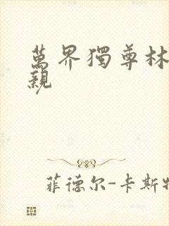 万界独尊林枫父亲