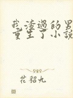 我渣过的男人都重生了小说