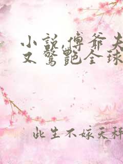 小说,傅爷夫人又惊艳全球了