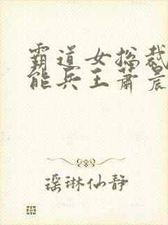 霸道女总裁的全能兵王萧晨