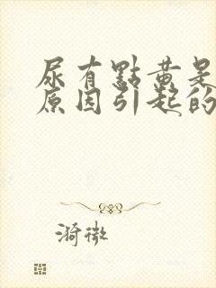 尿有点黄是什么原因引起的