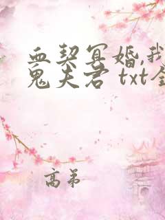 血契冥婚,我的鬼夫君 txt全本