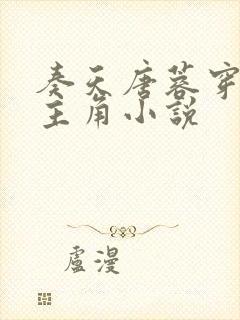 奏天唐蓉穿越为主角小说