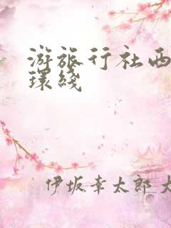 游旅行社西北大环线