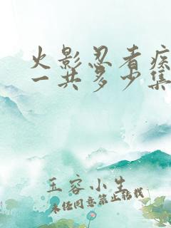 火影忍者疾风传一共多少集