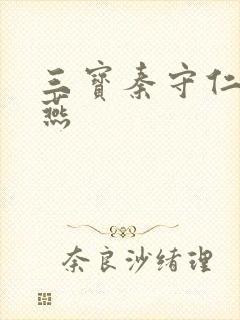 三宝秦守仁与萧燕