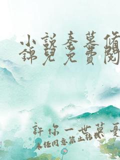 小说秦慕修和赵锦儿免费阅读