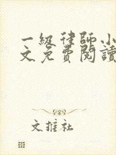 一级律师小说全文免费阅读无弹窗