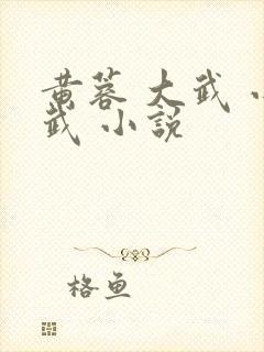 黄蓉 大武 小武 小说