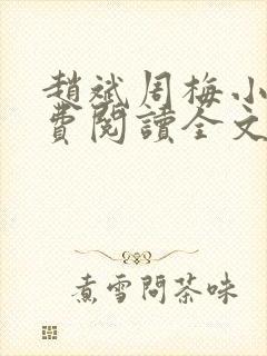 赵斌周梅小说免费阅读全文最新章节