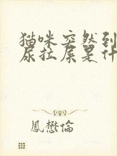 猫咪突然到处乱尿拉屎是什么原因