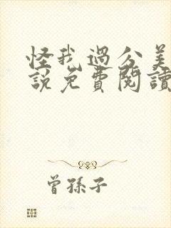 怪我过分美丽小说免费阅读全文