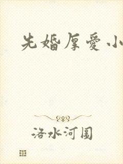 先婚厚爱小说版