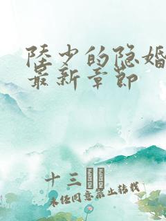 陆少的隐婚罪妻最新章节