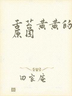 舌苔黄黄的什么原因