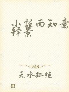 小说南知意与帝释景