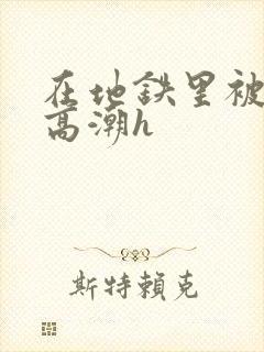 在地铁里被弄到高潮h