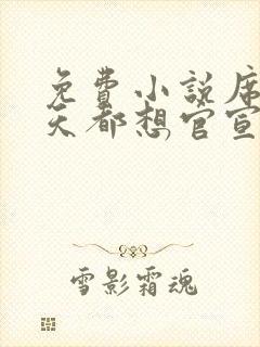 免费小说席爷每天都想官宣