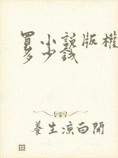 买小说版权大概多少钱