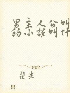 男主人公叫叶凡的小说叫什么名字