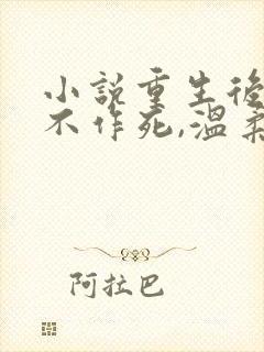 小说重生后,我不作死,温柔待校草男友在