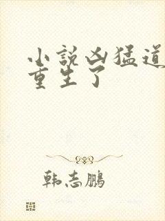 小说凶猛道侣也重生了