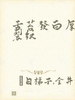 舌苔发白厚腻有裂纹