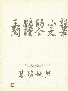 王鹏的小说免费阅读全文最新章节