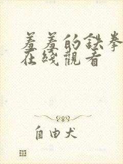 羞羞的铁拳韩漫在线观看