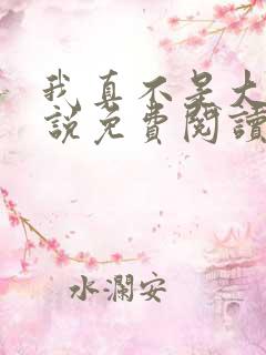 我真不是大佬小说免费阅读