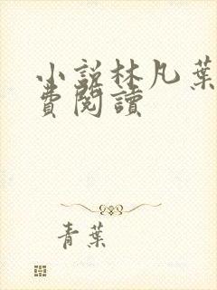 小说林凡叶惜免费阅读