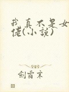 我真不是女装大佬(小说)