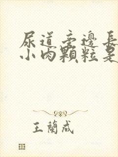 尿道旁边长了个小肉颗粒是什么原因