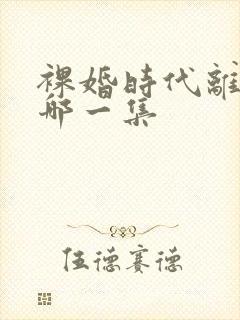 裸婚时代离婚是哪一集