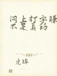 网上打字赚钱是不是真的