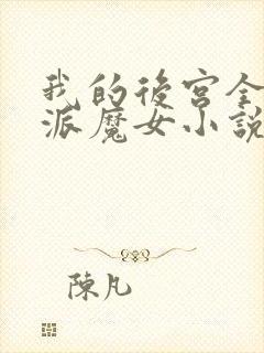 我的后宫全是反派魔女小说
