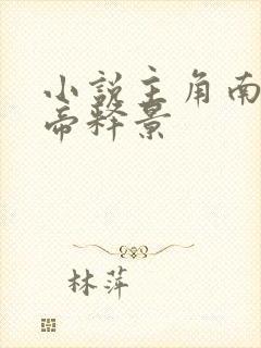 小说主角南知意帝释景