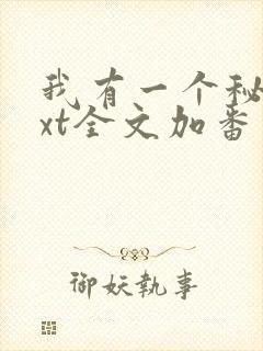 我有一个秘密txt全文加番外