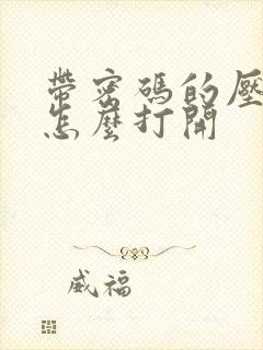 带密码的压缩包怎么打开