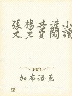 张杨共渡小说全文免费阅读最新章节